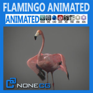 3d Animated Seagull Download And Buy 3d Profestionnal Models On Nonecg Com