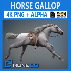 3d Horse Rise Download And Buy 3d Profestionnal Models On Nonecg Com