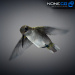 Hummingbird-21