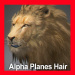 Lion_Alpha