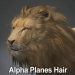 Lion_Alpha_03