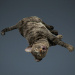 Domestic Animals_Rigged_003