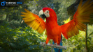 Parrot Red 12