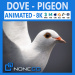 3d white dove