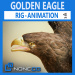 3D Golden Eagle Unity