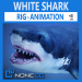 3d white shark unity