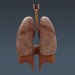 Respiratory_07