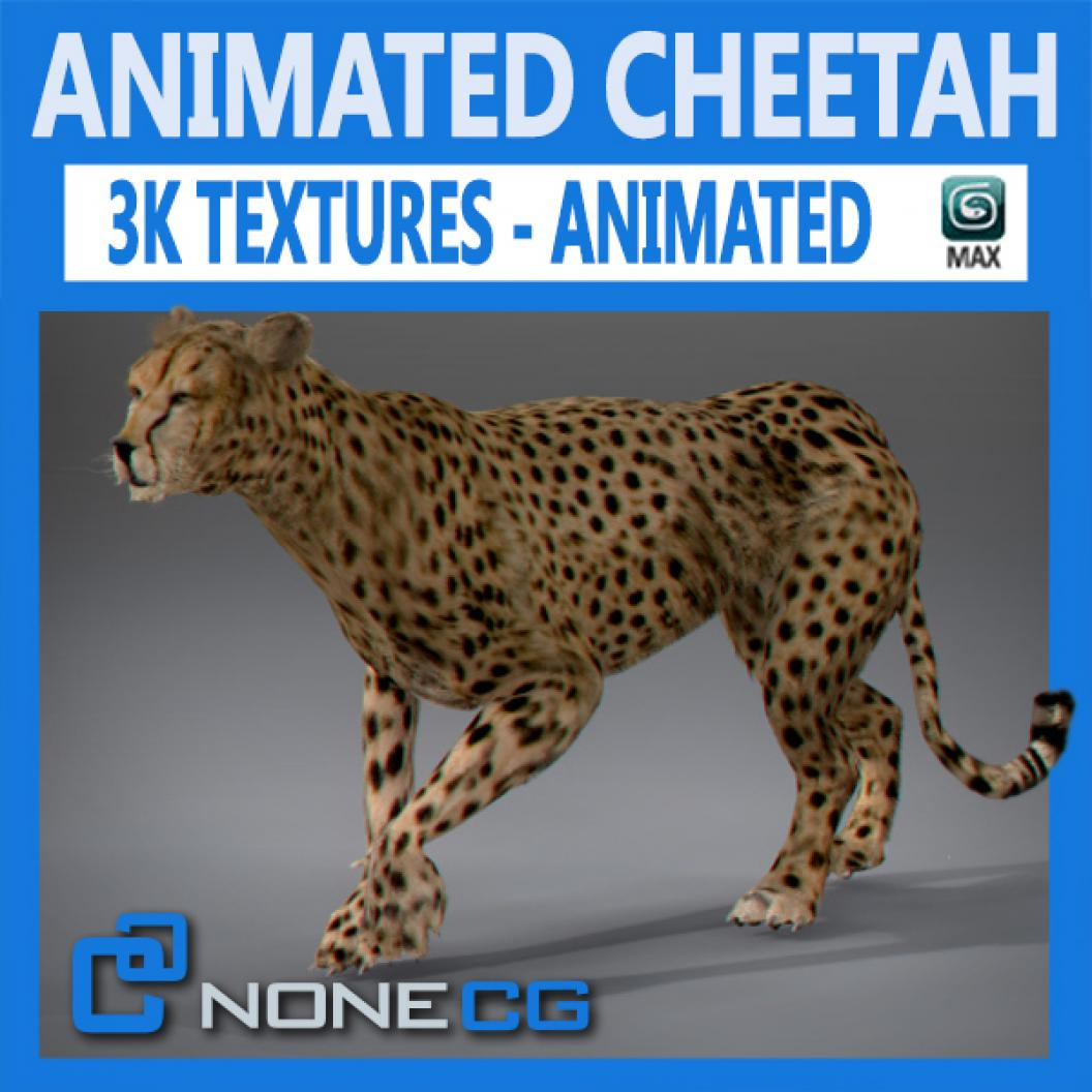 copy and paste in place in cheetah3d